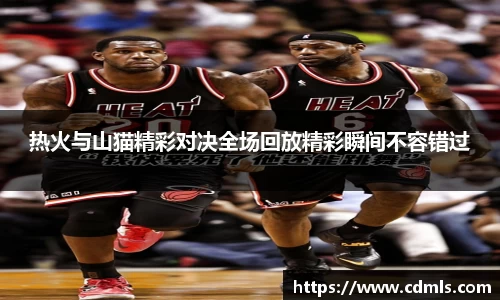 热火与山猫精彩对决全场回放精彩瞬间不容错过