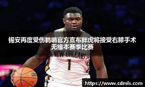 锡安再度受伤鹈鹕官方宣布胖虎将接受右膝手术无缘本赛季比赛